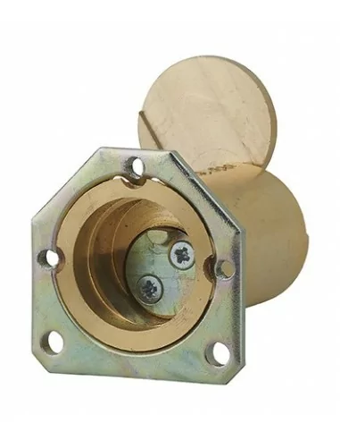 CYL ENEDIS 25X45 C 2 CL SER C /AUV CYL ENEDIS 25X45 C 2 CL SER C /AUV