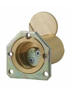 CYL ENEDIS 25X45 C 2 CL SER C /BRG 2