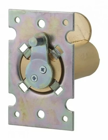 CYL ENEDIS 25X60 C 2 CL SAP T /IFO CYL ENEDIS 25X60 C 2 CL SAP T /IFO