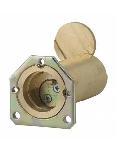 CYL ENEDIS 25X60 C 2 CL SER C /LRO 2