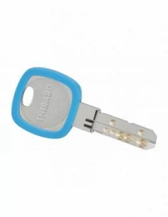 Anneau de clé - Couleurs assorties, Ø 30mm - THIRARD 2