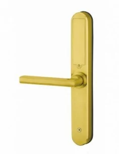Poignée connectée Intelock ROOM - Finition dorée - INTELOCK 2
