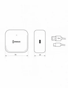 Passerelle Wifi / Bluetooth - INTELOCK 2