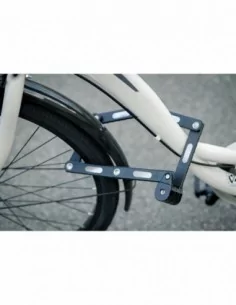 Antivol zebra à clé 2