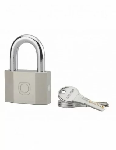 Cadenas à clé OCTO 60mm anse acier 3 clés Cadenas à clé OCTO 60mm anse acier 3 clés