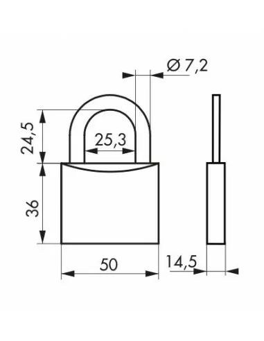 Cadenas à clé TYPE 1+ 50 mm Cadenas à clé TYPE 1+ 50 mm
