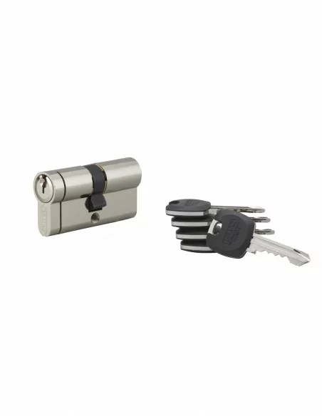 Cylindre hg6+ 31x31mm 3 clés panneton orientable