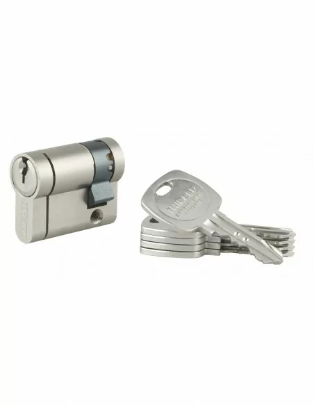 Demi-cylindre 30 x 10 mm panneton orientable