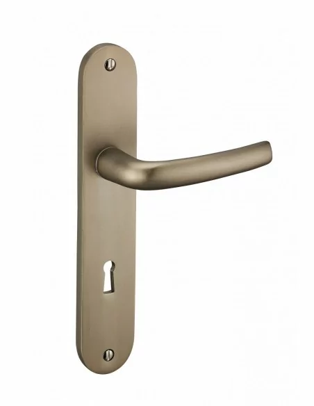 Poignée de porte Chantilly anodisé inox trou de clé, l