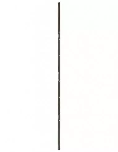 Gâche serrure TRIBANDO à tétière rasée pour porte à recouvrement - Hauteur 2250mm maxi, marron - THIRARD