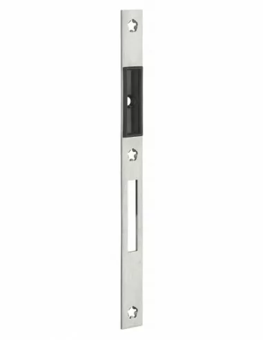 Gâche plate inox double empénage 244x20x2,5 mm Gâche plate inox double empénage 244x20x2,5 mm