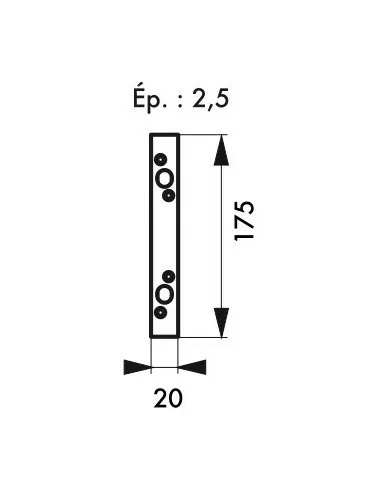 Jeu de gâches plates 20 mm bouts carrés (double pênes ronds Ø 10) Jeu de gâches plates 20 mm bouts carrés (double pênes ronds Ø 10)