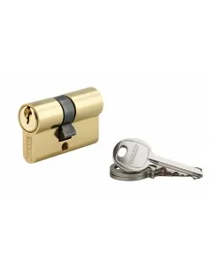 Cylindre à clé crantée 25 x 25 mm laitonné 3 clés