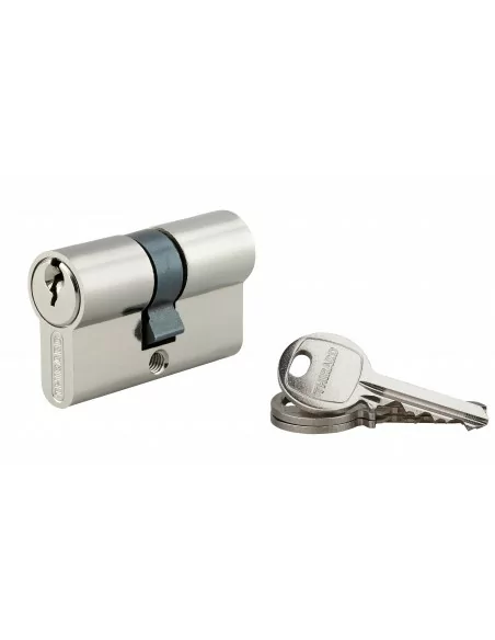 Cylindre à clé crantée 25 x 25 mm nickelé 3 clés