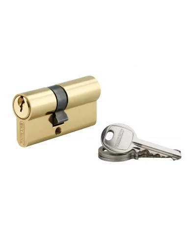 Cylindre à clé crantée 25 x 35 mm laitonné 3 clés