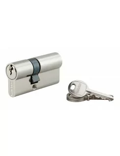 Cylindre à clé crantée 25 x 40 mm nickelé 3 clés