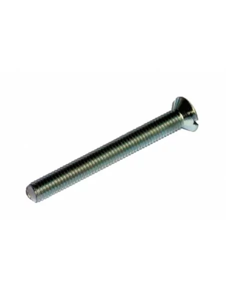 Cylindre à clé crantée 30 x 30 mm 3 clés avec vis de 45 mm nickelé