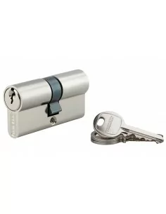 Cylindre à clé crantée 30 x 30 mm 3 clés avec vis de 50 mm nickelé