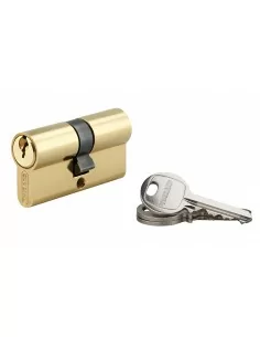 Cylindre à clé crantée 30 x 30 mm laitonné 3 clés