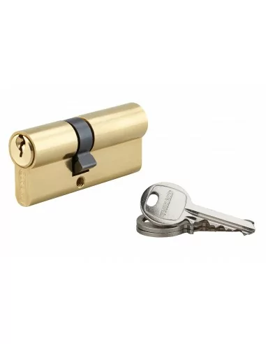 Cylindre à clé crantée 30 x 40 mm 3 clés avec vis de 50 mm laitonné