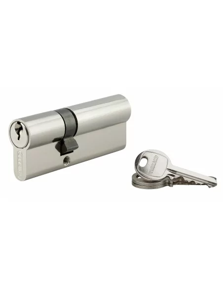 Cylindre à clé crantée 30 x 50 mm 3 clés avec vis de 40 mm nickelé