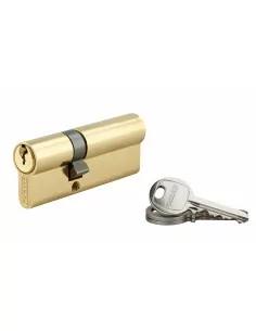 Cylindre à clé crantée 30 x 50 mm 3 clés avec vis de 50 mm laitonné
