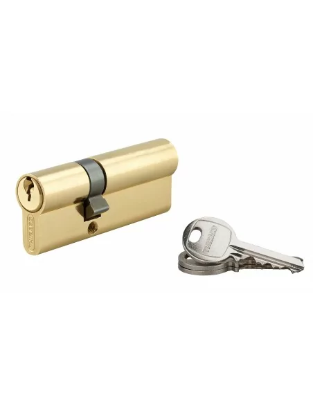 Cylindre à clé crantée 30 x 50 mm laitonné 3 clés