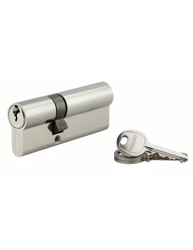 Cylindre à clé crantée 30 x 50 mm nickelé 3 clés