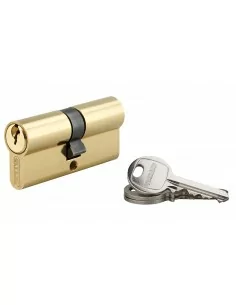 Cylindre à clé crantée 35 x 35 mm 3 clés avec vis de 50 mm laitonné