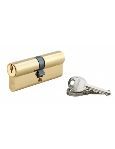 Cylindre à clé crantée 40 x 40 mm 3 clés avec vis de 50 mm laitonné