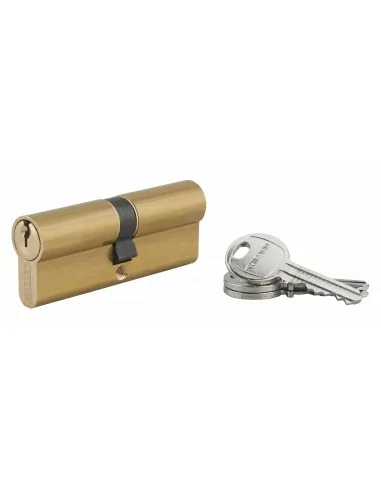 Cylindre Profilé HG 40x40mm - 3 clés, laiton - THIRARD