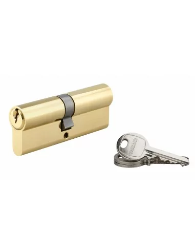 Cylindre à clé crantée 40 x 45 mm 3 clés avec vis de 50 mm laitonné