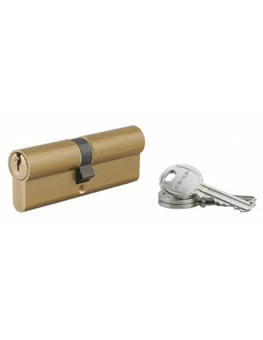 Cylindre Profilé HG 40x45 mm - 3 clés, laiton - THIRARD