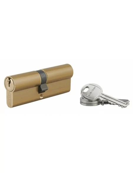 Cylindre Profilé HG 40x45 mm - 3 clés, laiton - THIRARD