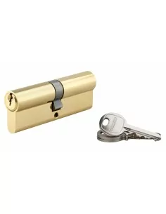 Cylindre à clé crantée 45 x 45 mm laitonné 3 clés