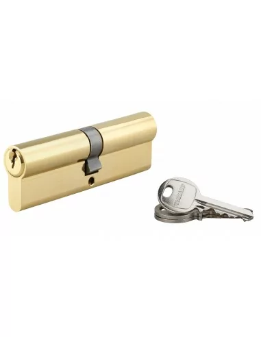 Cylindre à clé crantée 50 x 50 mm laitonné 3 clés
