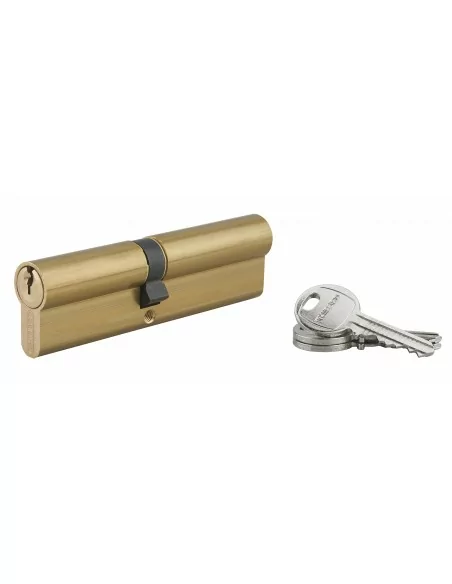 Cylindre Profilé HG 50 x 60 mm - 3 clés, laiton - THIRARD