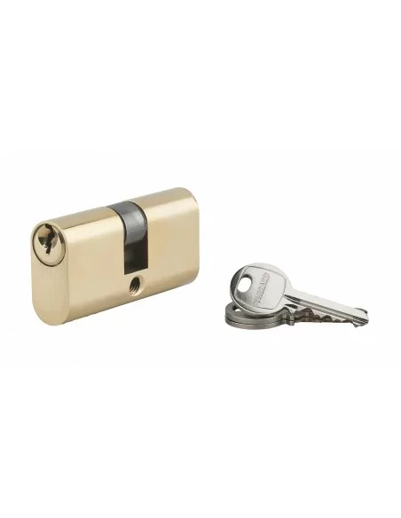 Cylindre à clé crantée ovale 28x28mm 3 clés