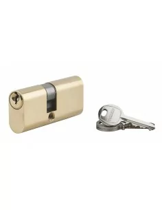 Cylindre à clé crantée ovale 28x35mm 3 clés