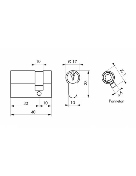 Cylindre profile hg 30 x 10 mm 3 clés laiton panneton orientable