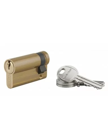 Demi-cylindre Profilé HG 45x10 mm - 3 clés, laiton - THIRARD