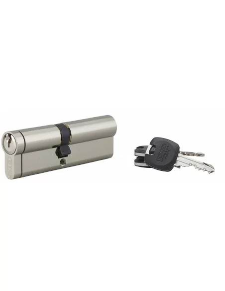 Cylindre Profilé HG5+ 45x500mm - 3 clés, nickelé - THIRARD