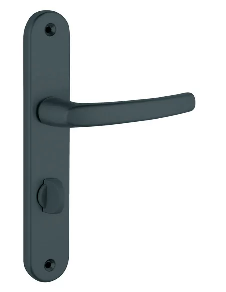 Poignée de porte Sultane à condamnation - Entraxe 195mm, Gris anthracite - THIRARD