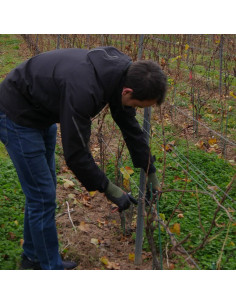 Gant de protection taillage des vignes et tirage des bois SARMENT - ROSTAING 2