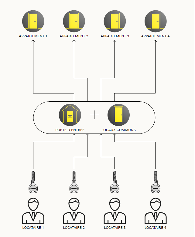 hierarchisation des accès pour entreprise